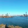 livelycrewnyc